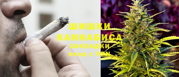 сатива Алексин